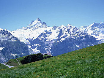 Nature, Grass, Stones, Mountains, Snow, Path, Slope, Trail, Meadow HD wallpaper