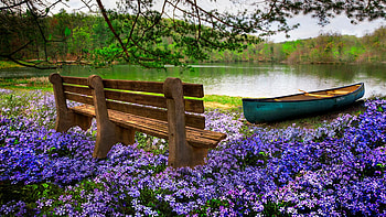 Tranquility - Cherokee National Forest, Tennessee, flowers, boat, bench, landscape, trees, usa HD wallpaper