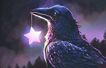 Starcatcher, crow, fantasy, bird HD wallpaper