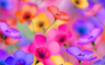Flowers, Background HD wallpaper