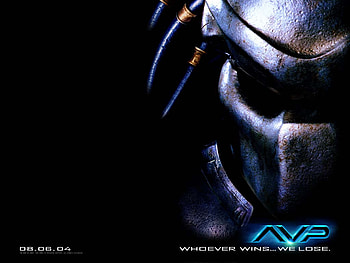 AVP, preditor, alien vs predator, predator HD wallpaper