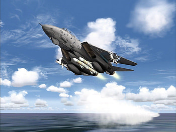 f14, military, f-14, aircraft, war HD wallpaper
