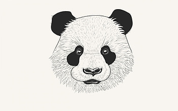 Art, Muzzle, Minimalism, Panda HD wallpaper