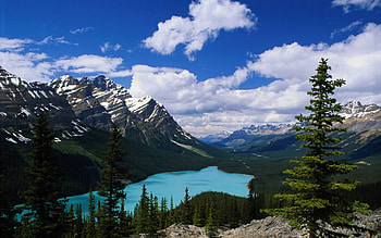 nature, fun, cool, forest, lake, mountain HD wallpaper