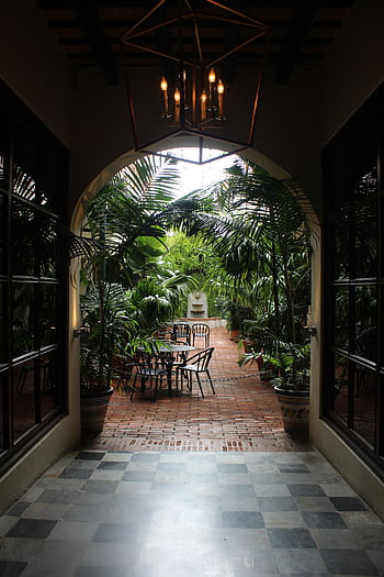 Serene outdoor patio surrounded by tropical plants in San Juan, Puerto Rico. HD phone wallpaper