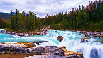 Sunwapta River And Falls, Jasper NP, Alberta, cascades, trees, canada, water, rocks, forest, stones HD wallpaper