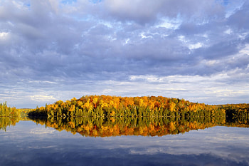 Autumn Reflection, autumn, nature, reflection, lake HD wallpaper