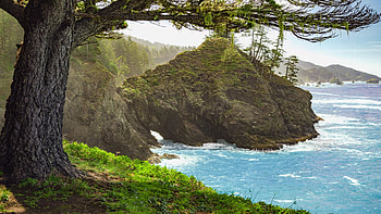 California Coast, rocks, pacific, sea, landscape, trees, usa HD wallpaper