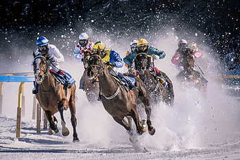 Winter flat racing, Equestrian Sports HD wallpaper