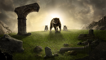 Animals, Bears HD wallpaper