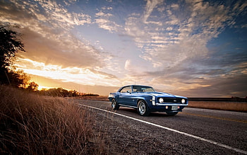 Camaro 1969, chevrolet, camaro, cars, racing HD wallpaper