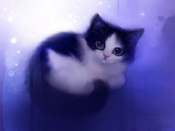 Black and White-Cat, cute, cat, , black and white HD wallpaper