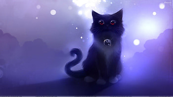 Black Cats , & in HD wallpaper