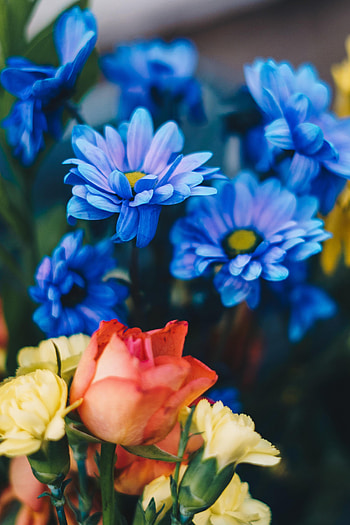 Flowers, Roses, Chrysanthemum, Bouquet HD phone wallpaper