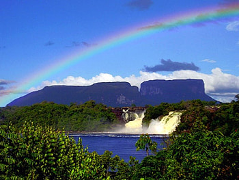 Rainbow Waterfall, river, rainbow, trees, waterfall, sky, nature, forest HD wallpaper