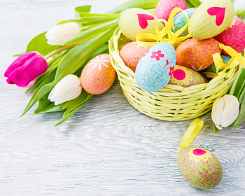 Happy Easter, egg, tulip, eggs, spring, tulips, beauty, spring time, e, sweet, easter aggs, colorful tulips, beautiful, pretty, with love, nature, flowers, easter, lovely, for you HD wallpaper