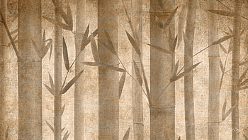 Just Bamboo, browns, abstract, woods, trees, sepia, bamboo, oriental, forest HD wallpaper