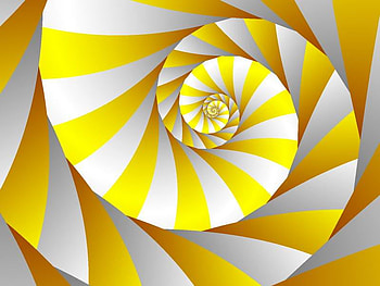 Rams Horn, circular, white, abstract, yellow, middle, spiral HD wallpaper