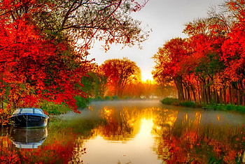 November, colorful, glow, colors, nice, reflection, shine, autumn, golden, fall, beautiful, tree, falling, leaves, mirrored, pretty, branches, nature, lovely, foliage HD wallpaper