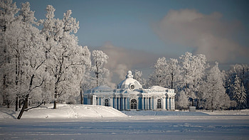 Architecture, Winter, Nature, Snow, Structure, Frost, Hoarfrost, Gray Hair, Square HD wallpaper