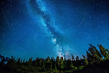 Beautiful Sky Blue, blue, trees, sky, beautiful, nature, stars, forest HD wallpaper