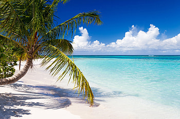 Sunny Puerto Rico, Island charm, New York Times HD wallpaper
