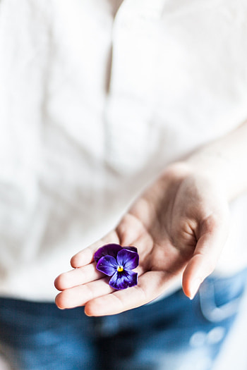 Flowers, Violet, Flower, Hand, Palm, Purple, Fingers HD phone wallpaper