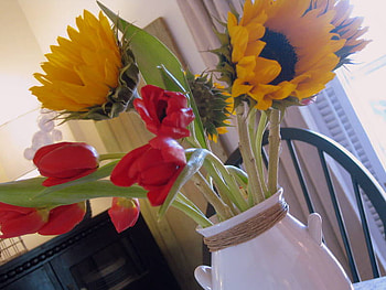 Another morning, sunshine, morning, tulips, fresh, sunflowers, light, yellow, red, nature, flowers, sun, forever HD wallpaper