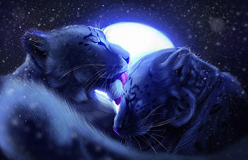 Art, Moon, Leopards, Care, Tenderness HD wallpaper