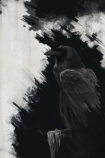 Raven, Art, Bird, Lines HD phone wallpaper