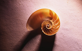 graphy, , abstract HD wallpaper