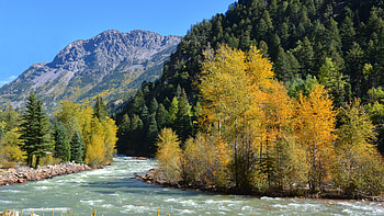 River Water Stream Yellow Green Trees Bushes Forest Mountain Slope In Blue Sky Background Nature HD wallpaper