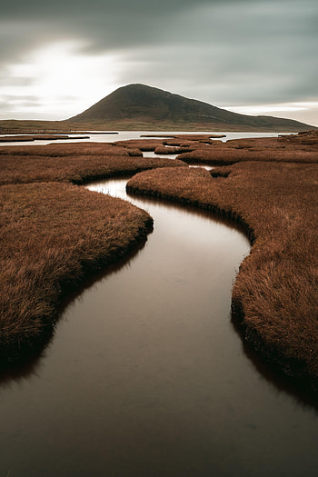 Nature, Rivers, Grass, Withered, Hill, Dried Up HD phone wallpaper