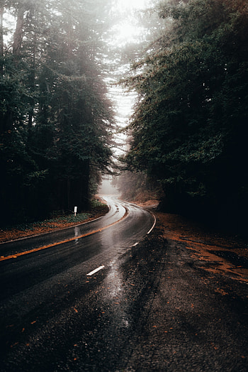 Highway turn, road, rainy, water on road HD phone wallpaper