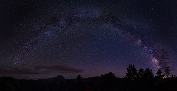 Trees, Usa, Dark, Starry Sky, Milky Way, United States, California HD wallpaper