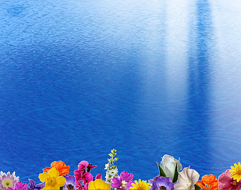 Sea & flowers, blue, sea, light, flower HD wallpaper