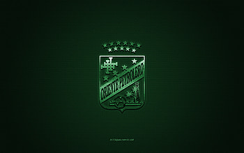 CD Oriente Petrolero, Bolivia football club, green logo, green carbon fiber background, Bolivian Primera Division, football, Santa Cruz de la Sierra, Bolivia, CD Oriente Petrolero logo HD wallpaper