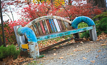old bench, bench, old, leaves, tree HD wallpaper