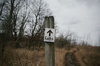 Nature, Arrow, Forest, Pillar, Post, Pointer, Sign HD wallpaper