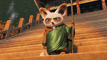 Kung Fu Panda 4: Master Shifu, movie, Kung Fu Panda 4, Shifu (Kung Fu Panda) HD wallpaper