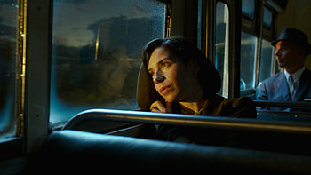 Sally Hawkins, Oscar Contender, The New York Times, The Shape of Water HD wallpaper