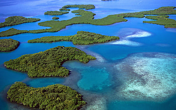 Belize nature , High-quality , Belize landscape, Nature HD wallpaper