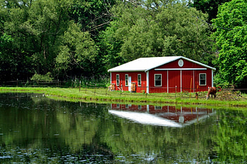 Serene Country Scene, peaceful country, relaxing country, horse and farm, horse and barn, scenic country, tranquil country HD wallpaper