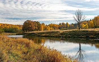 River Venta, Latvia, Latvia, river, reflection, calm, autumn HD wallpaper