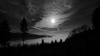 Nature, Trees, Sky, Moon, Forest, Bw, Chb HD wallpaper