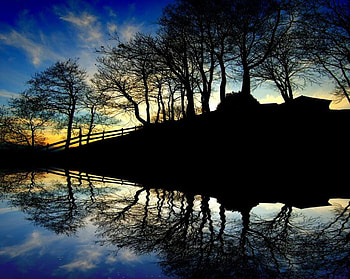 reflection, blue, trees, sky, nature, water HD wallpaper