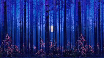 Mystical Whispers Beneath The Whorl Laden Night, artist, artwork, digital-art HD wallpaper
