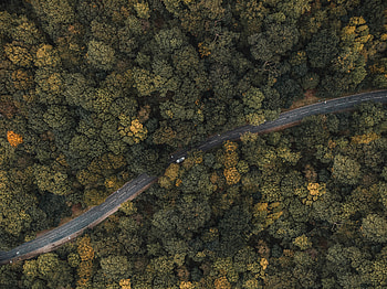 Nature, Trees, View From Above, Top, Road, Forest, Car, Machine, Tops HD wallpaper