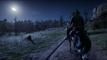 Red Dead Redemption 2, Video Game HD wallpaper