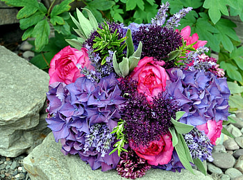 Flowers, Stones, Roses, Registration, Typography, Bouquet, Ball HD wallpaper